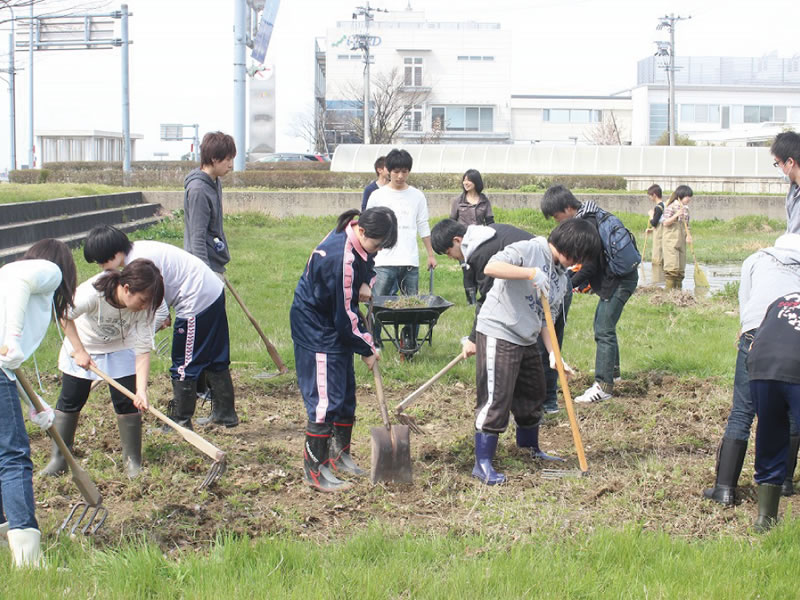 学園祭での発表と大学ビオトープの整備のようす