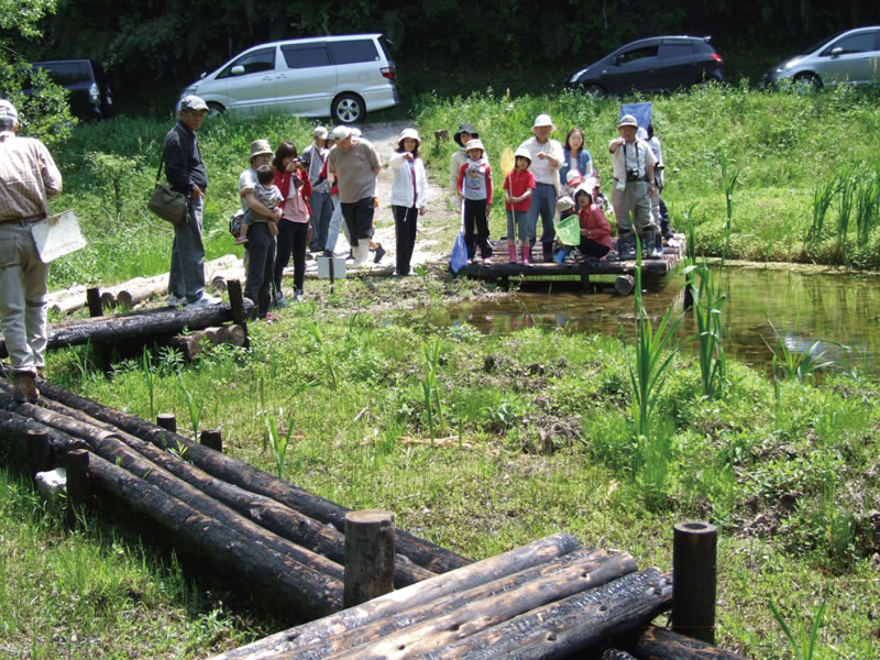 メダカの学校岳の池での活動