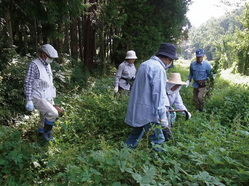 谷戸の保全管理作業のようす