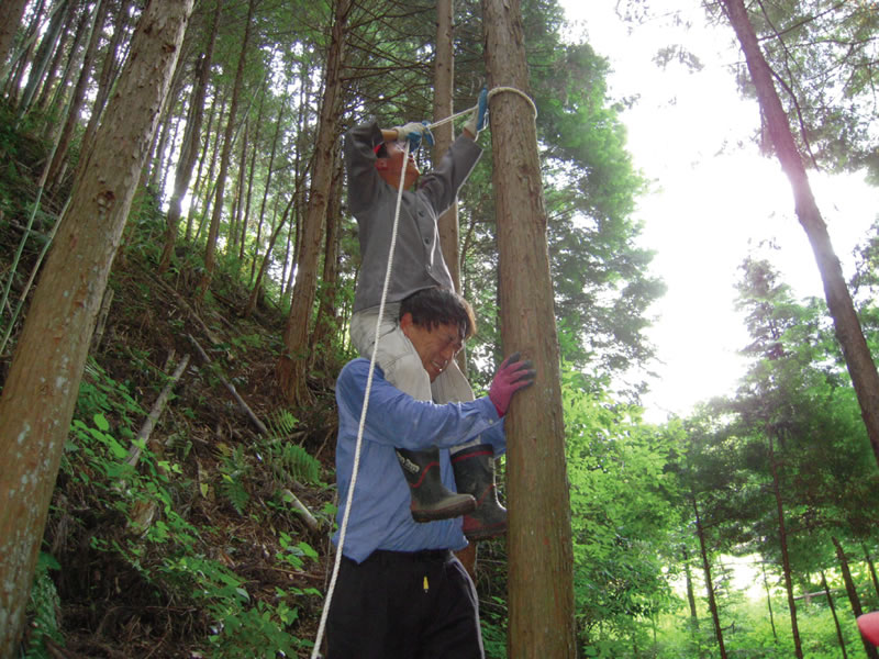 地域で子どもたちを育てています。